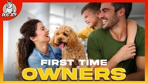 Best Dogs for First Time Owners