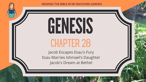 Genesis Chapter 28 | NRSV Bible Reading