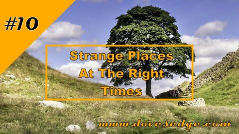 Episode 10: Strange Places At the Right Times, Luke 19:1-10