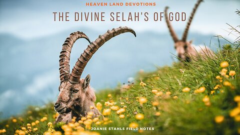 Heaven Land Devotions - The Divine Selah's Of God
