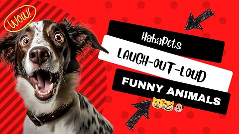 "😄 The Ultimate Compilation of Laugh-Out-Loud Funny Animals🐾 Best Pet Moments"