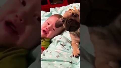 adorable dog weeping with child so cute and lovable #dogslife #dogs2022 #puppies #petsandwild