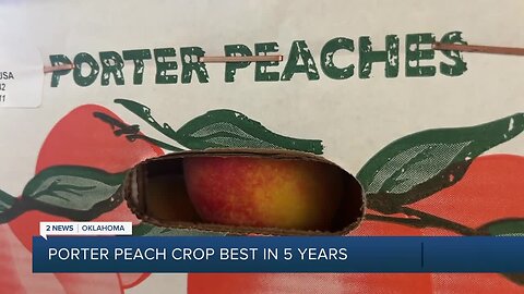 Livesay Orchard peach crop best in 5 years