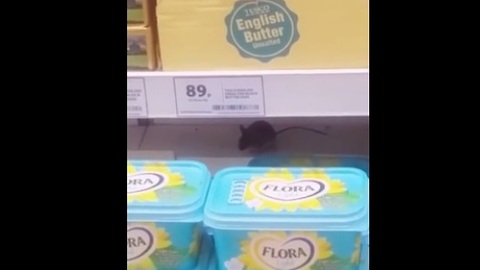 Mouse caught on camera in supermarket fridge
