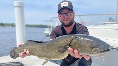Dock Fishing with Cut Bait Lake Michigan / Jumbo Perch & Panfish / Monster Dogfish snaps my Lamiglas