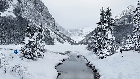 Lake Louise Winter Walking and Skating 2024 | Banff National Park