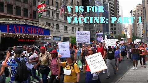 V IS FOR VACCINE: PART 1 - MARCH AND SPEECH COMPILATION - NEW YORK CITY - SPRINGSTEEN PROTEST