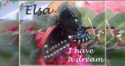 Elsa with I Have a Dream, the Story of a Butterfly, and Acting on Our Dreams