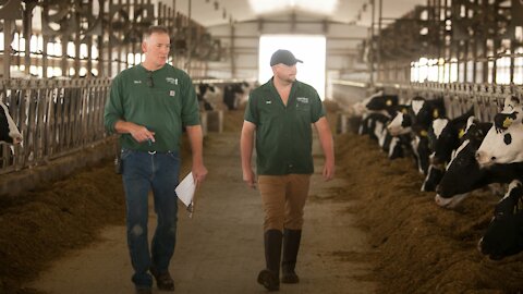 'Cow Power' Helps Dairy Farm Run On Renewable Energy