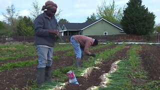 Growing non-profit needs land