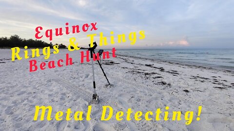 Metal Detecting Florida Beach For Silver & Gold Treasure • Equinox • Coins • Rings & Things
