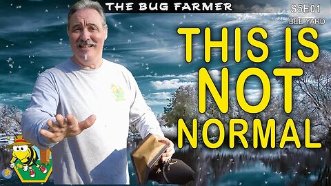 This Is Not Normal in Georgia | Do my bees produce brood in winter? #beekeeping #insects