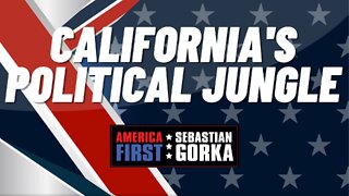 California's political jungle. Jennifer Horn with Sebastian Gorka on AMERICA First