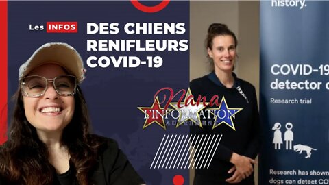 Nana l'information Autrement - Un peu plus loin dans le délire, des chiens renifleurs de marde ....