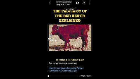 Documentary: Red Heifer Prophecy Explained