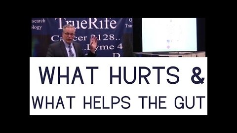 What Hurts and What Helps the Gut | Dr. Kevin Conners - Conners Clinic