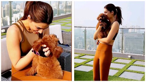 Indian Bollywood actress Kriti Senon playing with cute little puppies