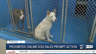 23ABC In-Depth: Prohibited online dog sales prompt action