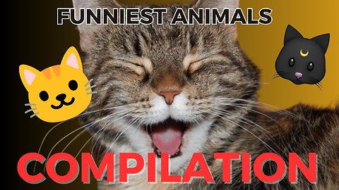 Laugh Out Loud Funny Animals That Will Make Your Day_part_29