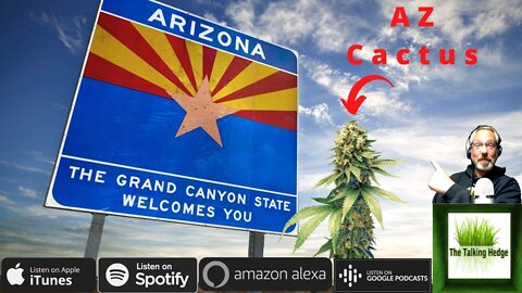 Arizona Adult-Use Cannabis Market Update