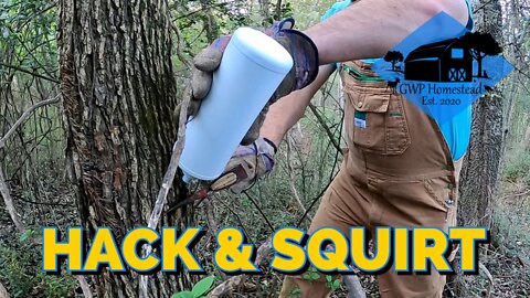 How to Use the Hack & Squirt Technique for Timber Stand Improvement
