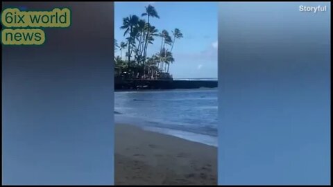 Woman bitten by monk SEAL in Hawaii