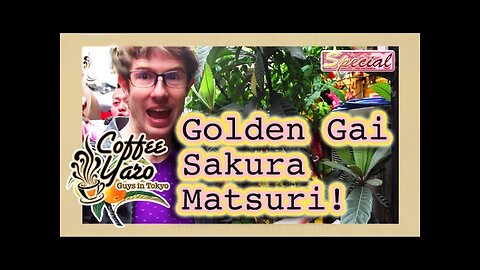 Coffee Yaro - Golden Gai Sakura Matsuri （コーヒーヤロー）ゴールデン街桜祭り