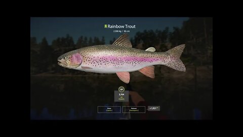 Russian Fishing 4 Kuori lake Rainbow Trout 2.306 Kg