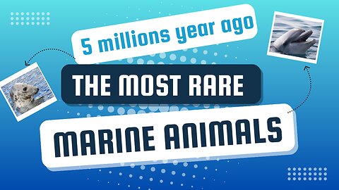 Marine Animals 5 Millions Years Ago