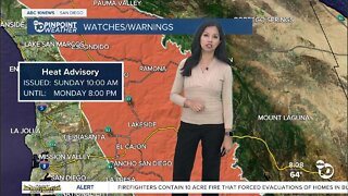 ABC 10News Pinpoint Weather for Sun. June 26, 2022