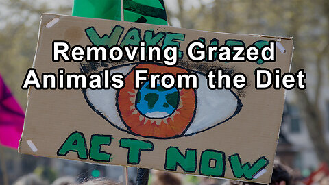 Removing Grazed Animals From the Diet, the Speaker Suggests It Could Significantly Reduce Methane