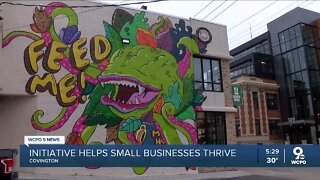 Initiative helps small Covington businesses thrive