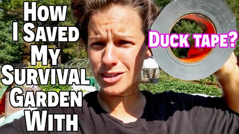 How I Saved My SURVIVAL GARDEN~WHAT WE EAT IN A DAY~ 21st Century Farm Wife