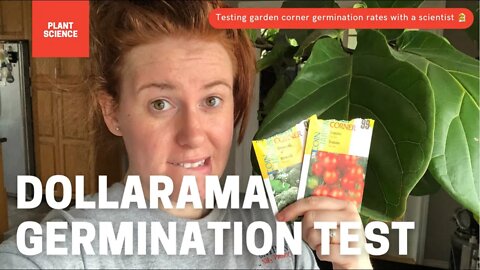 Dollarama Garden Seeds // Are Garden Corner Vegetable Seeds Worth It? | Gardening in Canada