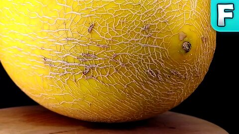 Hami Melon | Fruits You've Never Heard Of
