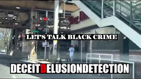 Black on White Crime Report #50 the Media Ignore - Deceit Delusion Detection