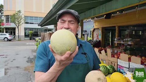 Picking a Cantaloupe Winter vs Summer
