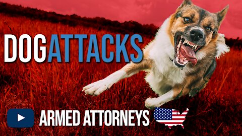 Self-Defense Against Dog Attacks - Why You Must Plan