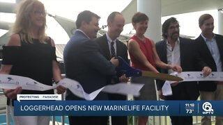 Loggerhead Marinelife Center's new look