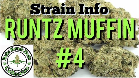 Exclusive! Runtz Muffin #4 Cannabis Strain From Bob's Better Buds.