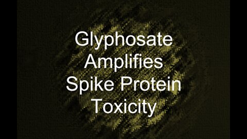 Glyphosate Amplifies Spike Protein Toxicity