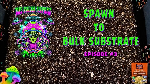 The Mush Report Episode 3 - Opening colonized Ben's rice bags and transferring spawn to bulk