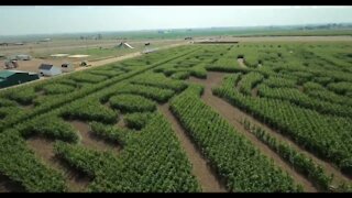 Take a flight through the Fritzler Farm Park corn maze honoring 9/11 victims