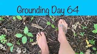 Grounding Day 64 - sprouting seeds