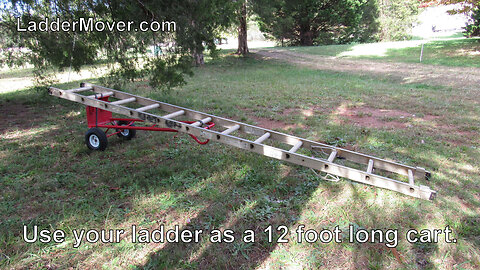 Ladder Mover™ used during tree trimming