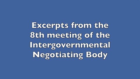 Excerpts from the 8th meeting of the Intergovernmental Negotiating Body