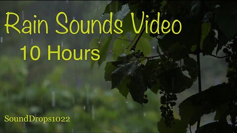 10 Hours Of Rain Sounds Video For Sleeping