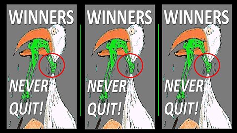 WINNERS NEVER QUIT!