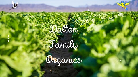 Dalton Family Organics