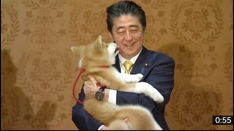 Japan's Abe oversees puppy handover to Russian Olympic champion